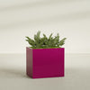 Brisbane Large Rectangle Fiberglass Planter - 36 in x 24 in x 32 in - Gloss Eggplant - Gloss Eggplant,36 in x 24 in x 32 in