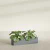 Salon Large Tall Rectangle Fiberglass Planter - 36 in x 8 in x 8 in - Metallic Gunmetal - Metallic Gunmetal,36 in x 8 in x 8 in