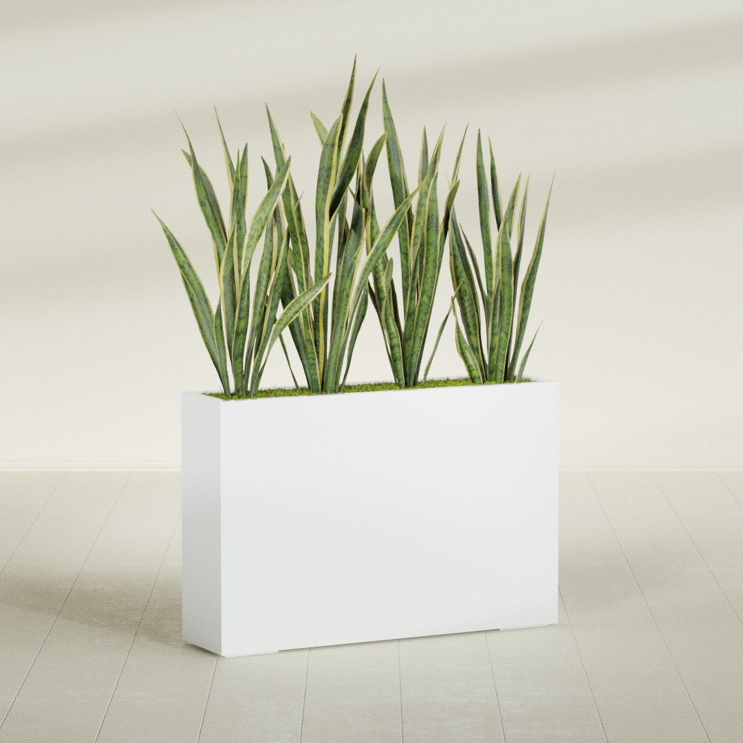 Delray Extra Large Long Rectangle Fiberglass Planter - 48 in x 12 in x 32 in - Matte White - Matte White,48 in x 12 in x 32 in