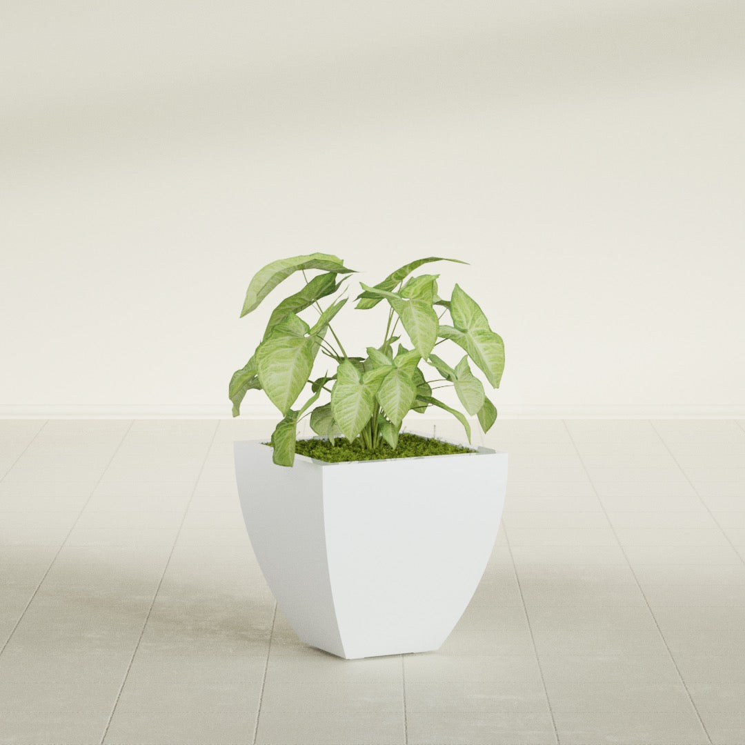 Lima Small Tapered Square Fiberglass Planter - 16 in x 16 in x 16 in - Matte White - Matte White,16 in x 16 in x 16 in