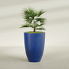 Brannan Large Round Fiberglass Planter - 30 in x 30 in x 41 in - Matte Cobalt Blue - Matte Cobalt Blue,30 in x 30 in x 41 in