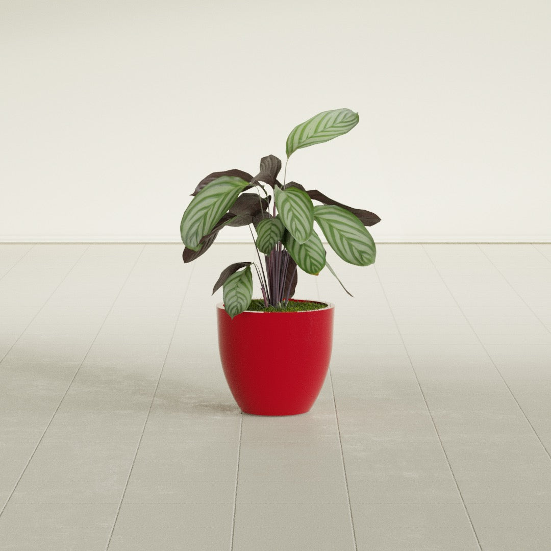 Wannsee Small Round Fiberglass Planter - 15 in x 15 in x 13 in - Gloss Red - Gloss Red,15 in x 15 in x 13 in