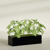 Reade Small Tabletop Rectangle Fiberglass Planter - 18 in x 6.5 in x 5 in - Gloss Black - Gloss Black,18.5 in x 6.5 in x 5 in