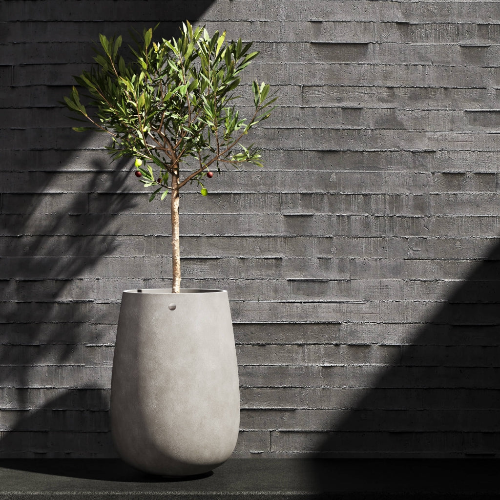 Mondo High - 21.6in diam. x 35.4in