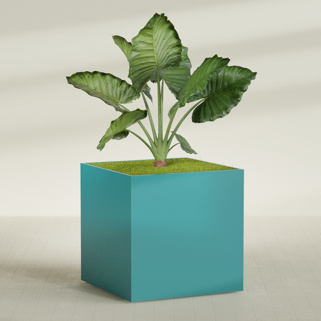 Montroy Extra Large Cube Square Fiberglass Planter - 60 in x 60 in x 60 in - Satin Sea Foam - Satin Sea Foam,60 in x 60 in x 60 in
