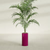 Corry Medium Tall Cylinder Fiberglass Planter - 10 in x 10 in x 20 in - Gloss Eggplant - Gloss Eggplant,10 in x 10 in x 20 in