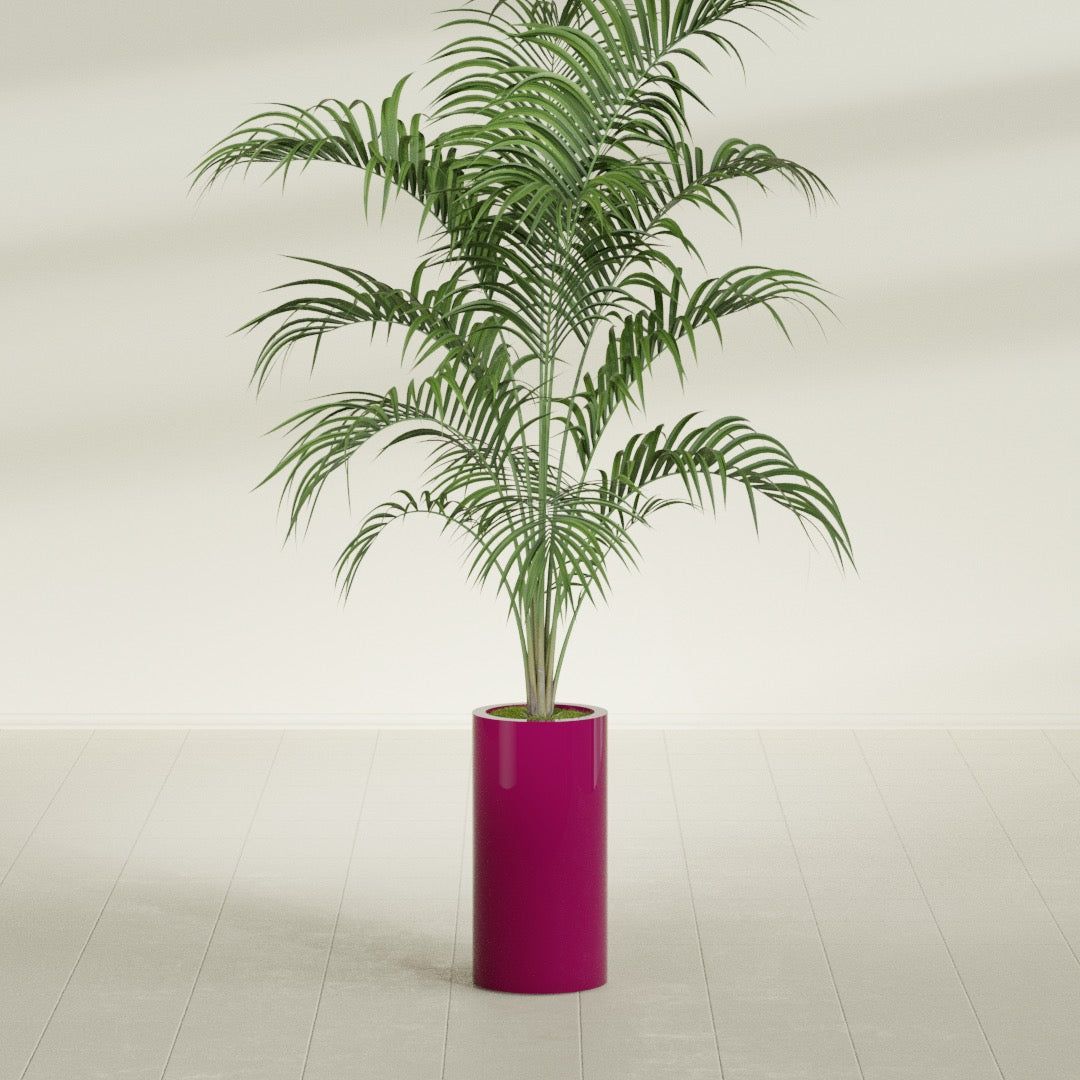 Corry Medium Tall Cylinder Fiberglass Planter - 10 in x 10 in x 20 in - Gloss Eggplant - Gloss Eggplant,10 in x 10 in x 20 in