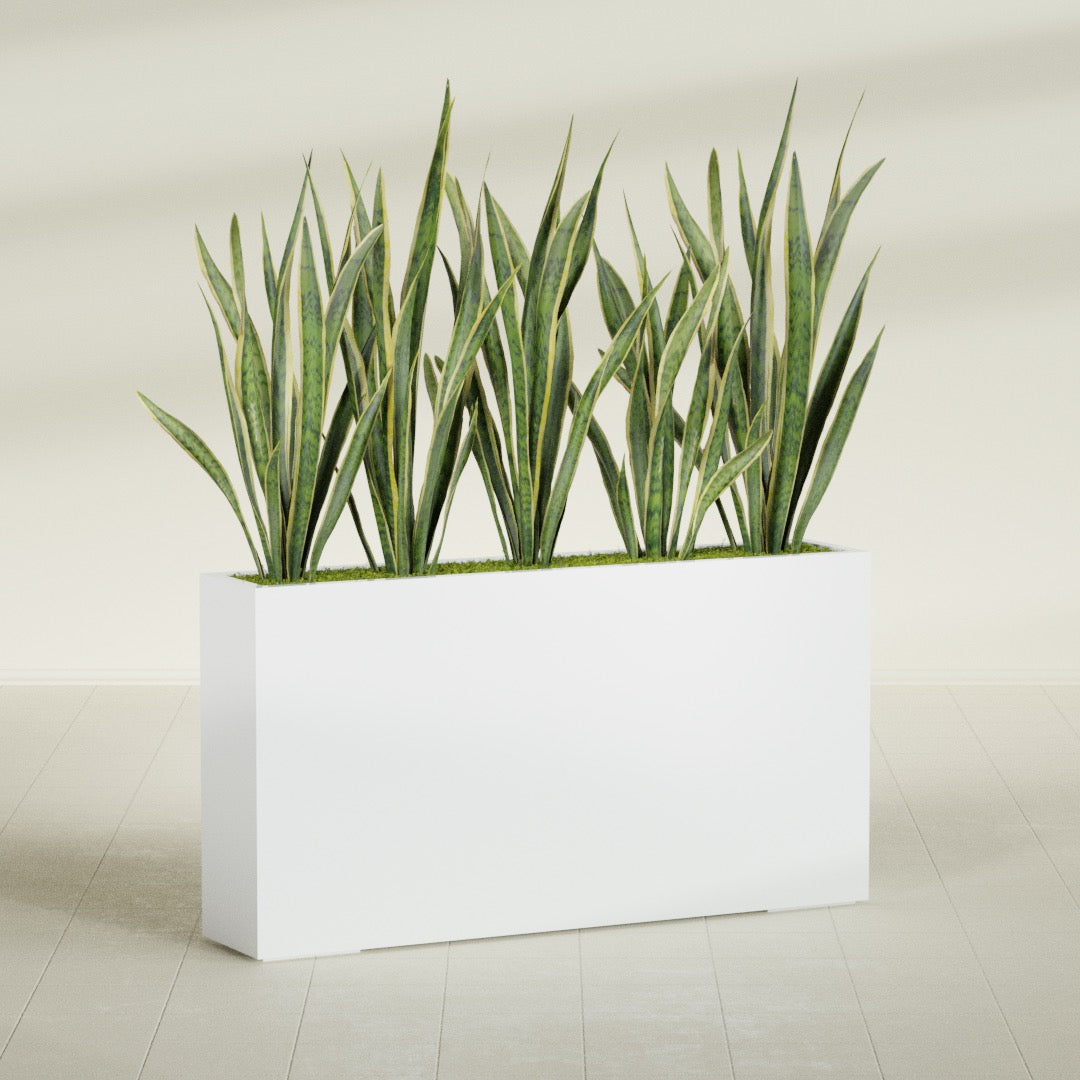 Delray Extra Large Long Rectangle Fiberglass Planter - 60 in x 12 in x 32 in - Matte White - Matte White,60 in x 12 in x 32 in