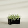 Hollywood Large Narrow Rectangle Fiberglass Planter - 36 in x 12 in x 24 in - Gloss Black - Gloss Black,36 in x 12 in x 24 in