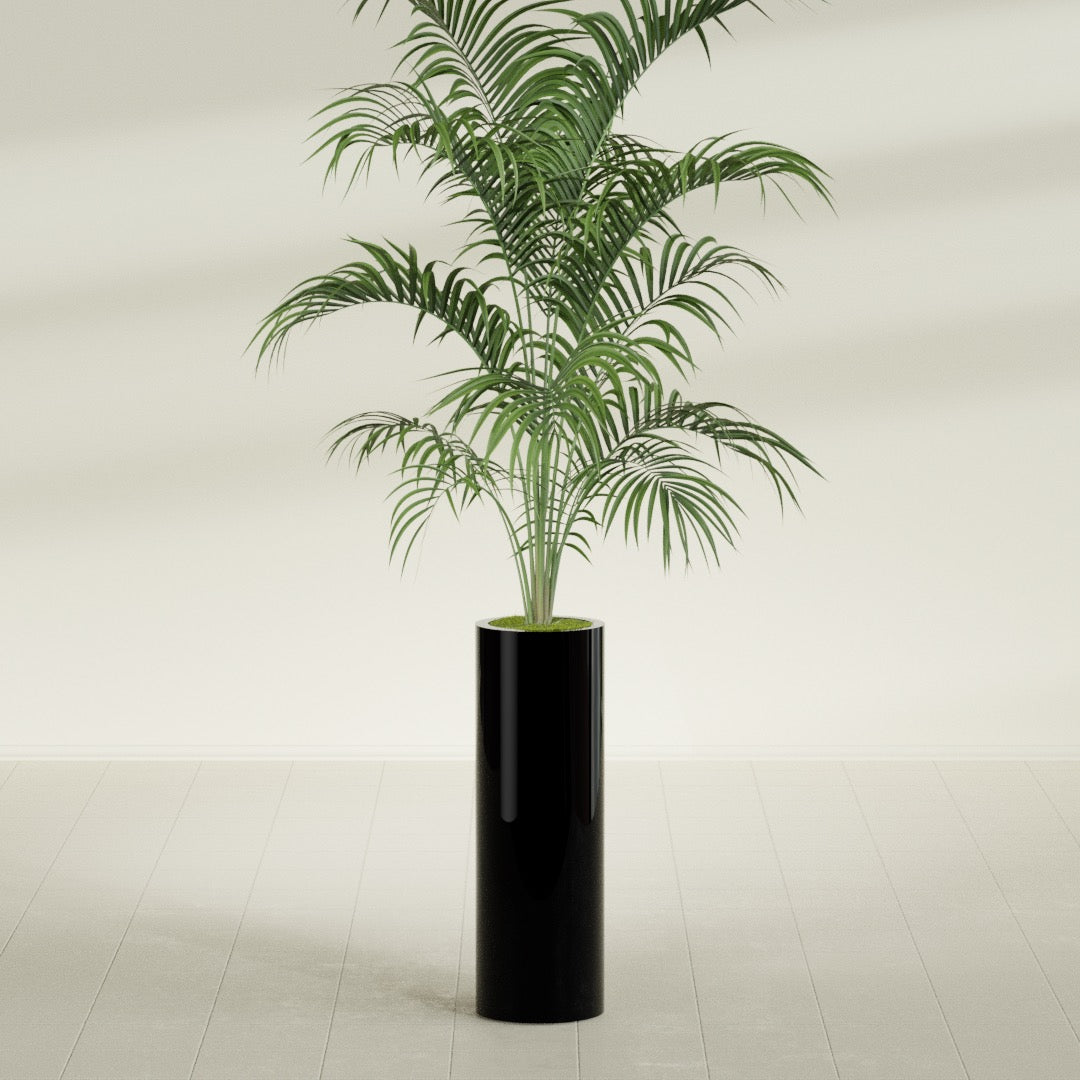 Corry Large Tall Cylinder Fiberglass Planter - 10 in x 10 in x 30 in - Gloss Black - Gloss Black,10 in x 10 in x 30 in