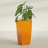 Toulan Large Tall Tapered Square Fiberglass Planter - 20 in x 20 in x 42 in - Gloss Tangerine - Gloss Tangerine,20 in x 20 in x 42 in