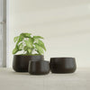 Short Hayden Small Round Fiberglass Planter - 16 in x 16 in x 8 in - Matte Brown - Matte Brown,16 in x 16 in x 8 in