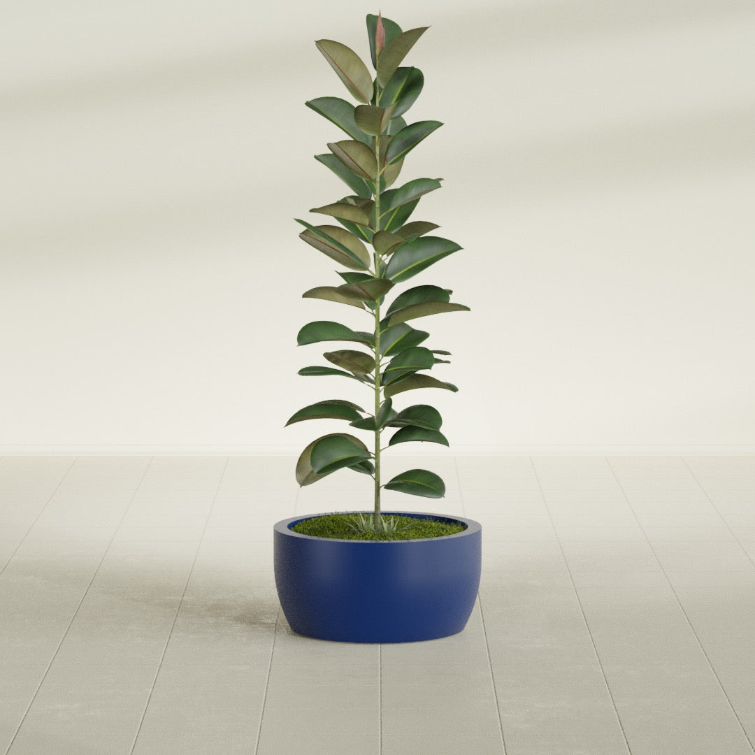 Casablanca Medium Round Low Bowl Fiberglass Planter - 20 in x 20 in x 10 in - Matte Cobalt Blue - Matte Cobalt Blue,20 in x 20 in x 10 in