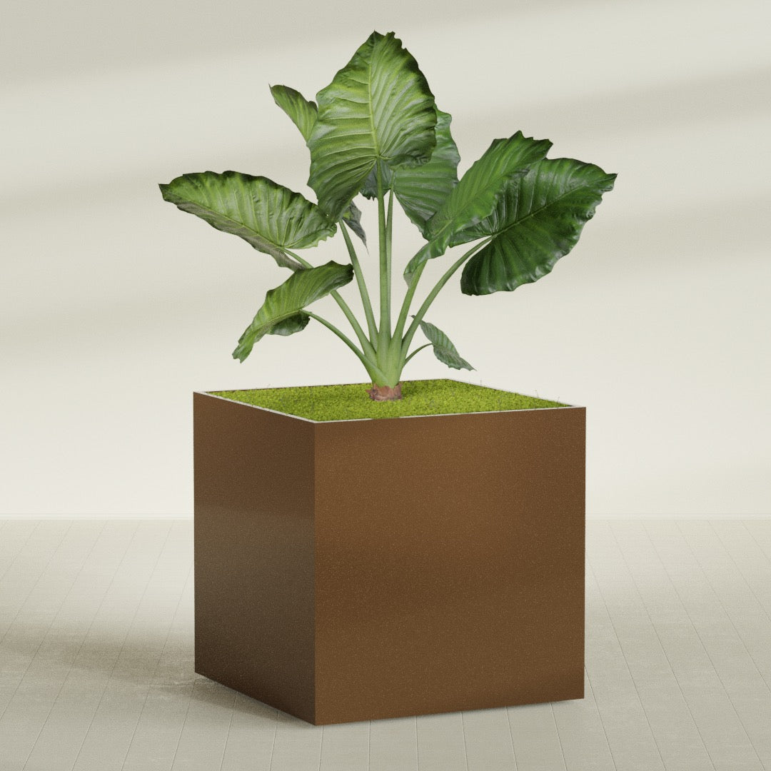 Montroy Extra Large Cube Square Fiberglass Planter - 60 in x 60 in x 60 in - Metallic Bronze - Metallic Bronze,60 in x 60 in x 60 in
