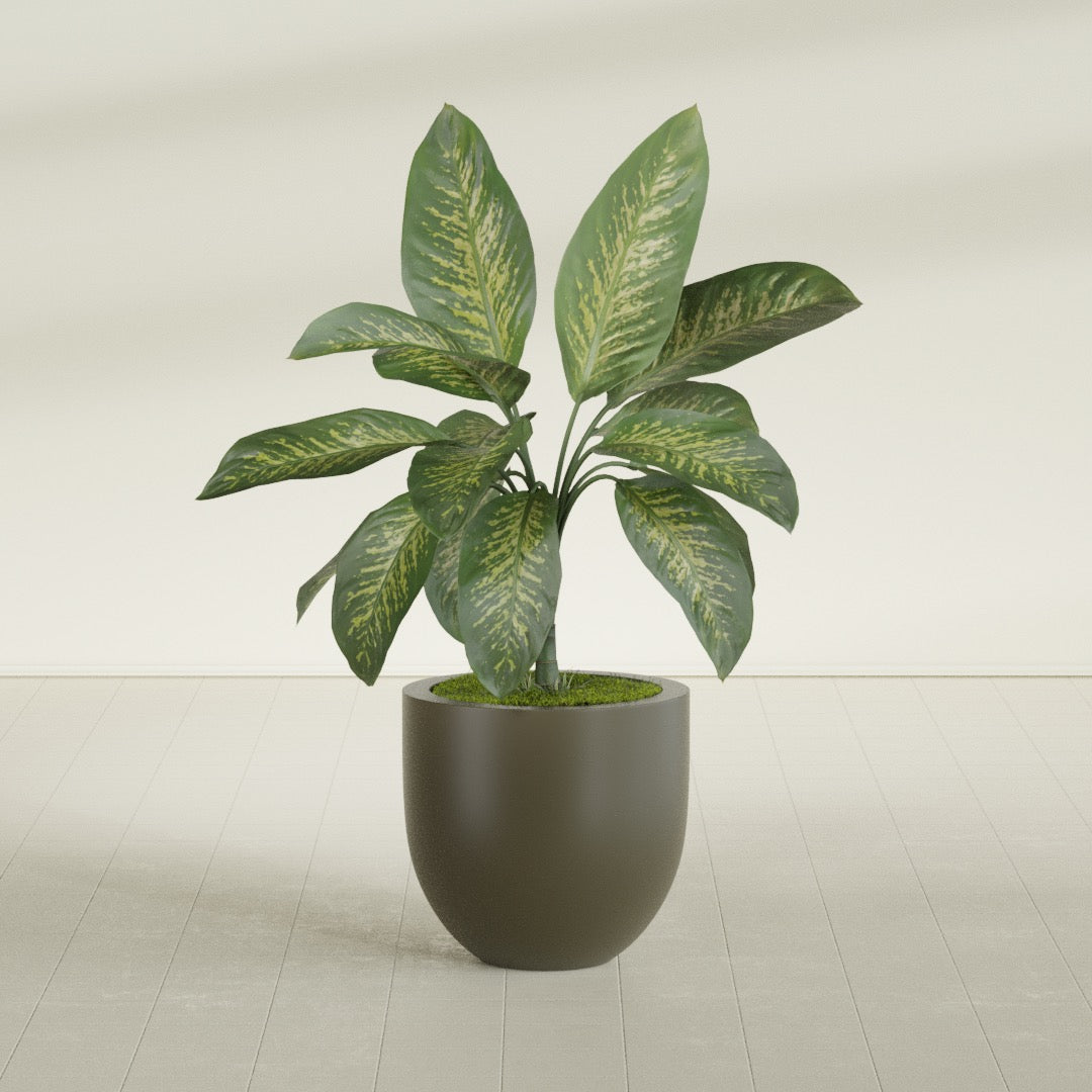 Alzira Medium Round Fiberglass Planter - 23 in x 23 in x 22 in - Matte Bronze - Matte Bronze,23 in x 23 in x 22 in