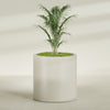 Rio Grande Large Round Fiberglass Planter - 30 in x 30 in x 32 in - Satin Beige - Satin Beige,30 in x 30 in x 32 in