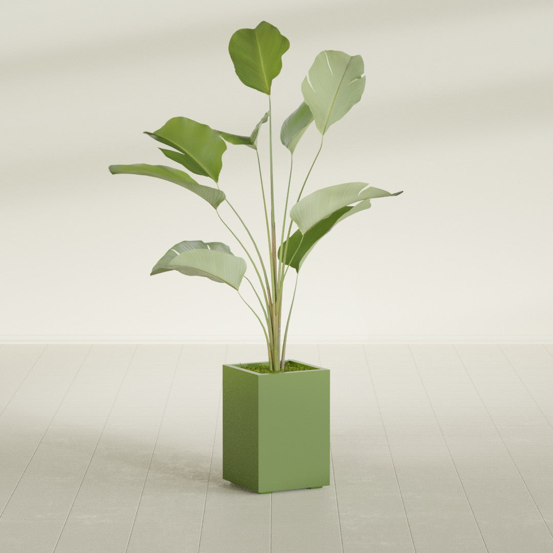 Tolga Medium Rectangle Fiberglass Planter - 16 in x 16 in x 24 in - Satin Green - Satin Green,16 in x 16 in x 24 in