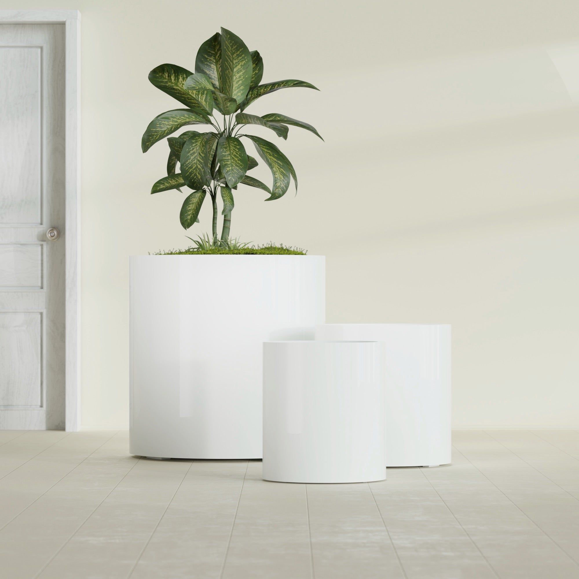 Rio Grande Medium Round Fiberglass Planter - 22 in x 22 in x 22 in - Gloss White - Gloss White,22 in x 22 in x 22 in