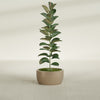 Casablanca Medium Round Low Bowl Fiberglass Planter - 20 in x 20 in x 10 in - Metallic Gold - Metallic Gold,20 in x 20 in x 10 in