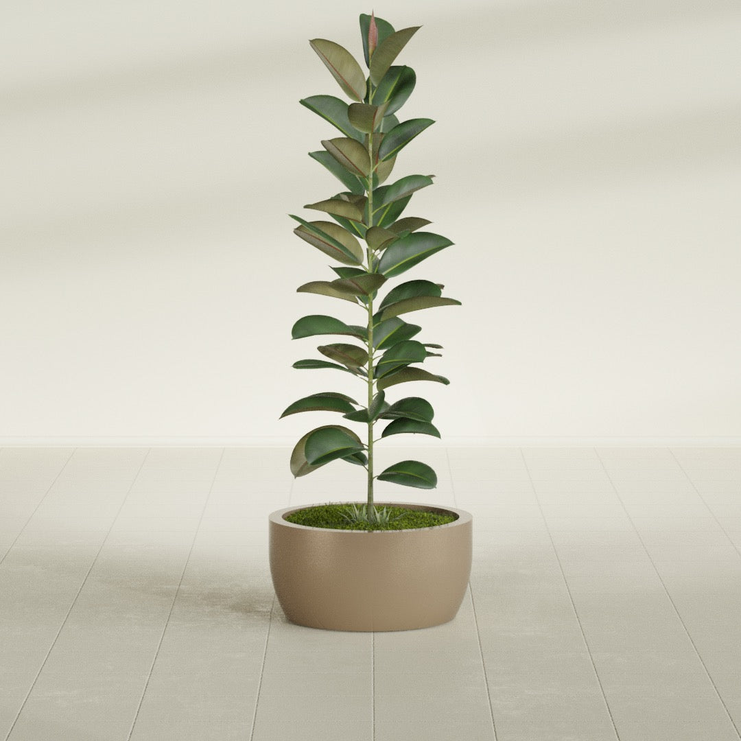 Casablanca Medium Round Low Bowl Fiberglass Planter - 20 in x 20 in x 10 in - Metallic Gold - Metallic Gold,20 in x 20 in x 10 in