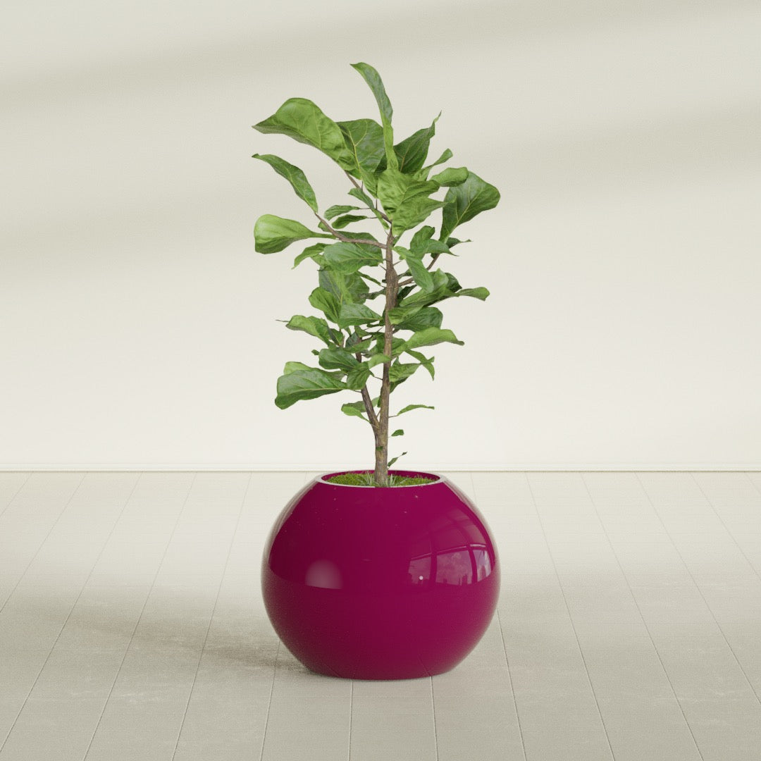 Globe Medium Sphere Fiberglass Planter - 24 in x 24 in x 19 in - Gloss Eggplant - Gloss Eggplant,24 in x 24 in x 20 in