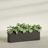 Miami Extra Large Narrow Rectangle Fiberglass Planter - 60 in x 12 in x 18 in - Matte Brown - Matte Brown,60 in x 12 in x 18 in