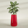 Saigon Extra Large Tapered Round Planter - 19 in x 24 in x 42 in - Gloss Red - Gloss Red,19.2 in x 24.2 in x 42 in