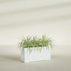 Hollywood Large Narrow Rectangle Fiberglass Planter - 36 in x 12 in x 24 in - Matte White - Matte White,36 in x 12 in x 24 in