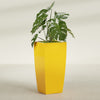 Toulan Large Tall Tapered Square Fiberglass Planter - 20 in x 20 in x 42 in - Gloss Saffron - Gloss Saffron,20 in x 20 in x 42 in