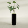 Saint Tropez Large Tall Round Fiberglass Planter - 16 in x 16 in x 38 in - Gloss Black - Gloss Black,16 in x 16 in x 38 in