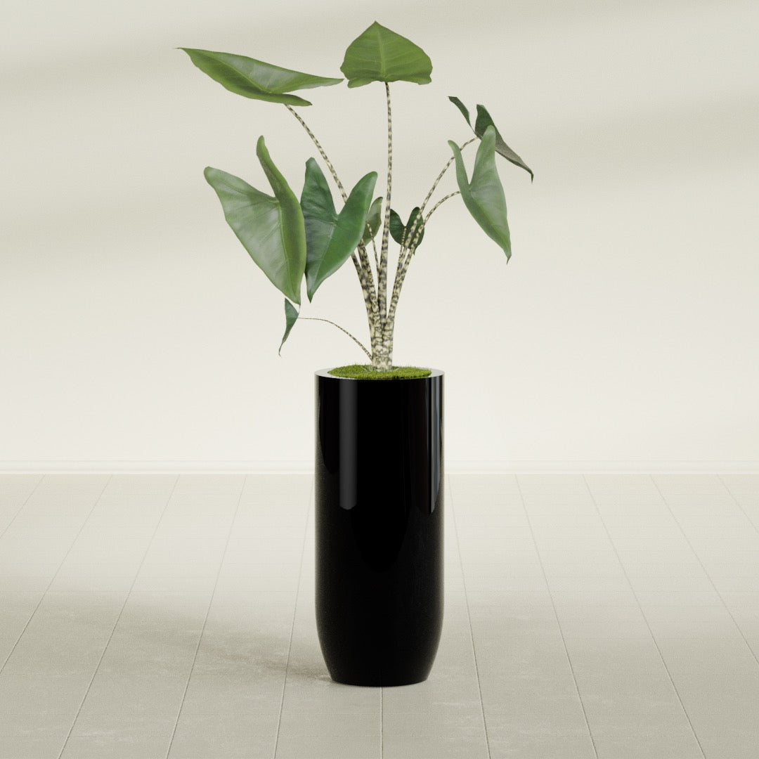 Saint Tropez Large Tall Round Fiberglass Planter - 16 in x 16 in x 38 in - Gloss Black - Gloss Black,16 in x 16 in x 38 in