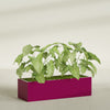 Reade Small Tabletop Rectangle Fiberglass Planter - 18 in x 6.5 in x 5 in - Gloss Eggplant - Gloss Eggplant,18.5 in x 6.5 in x 5 in