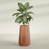 Saigon Extra Large Tapered Round Planter - 19 in x 24 in x 42 in - Matte Terracotta - Matte Terracotta,19.2 in x 24.2 in x 42 in