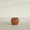 Fishbowl Small Round Fiberglass Planter - 16 in x 16 in x 14 in - Matte Terracotta - Matte Terracotta,16 in x 16 in x 14 in