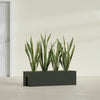 Tiergarden Large Long Over The Railing Rectangle Fiberglass Planter - 36 in x 12 in x 10 in - Matte Charcoal - Matte Charcoal,36 in x 12 in x 10 in