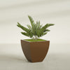 Lima Medium Tapered Square Fiberglass Planter - 24 in x 24 in x 24 in - Metallic Bronze - Metallic Bronze,24 in x 24 in x 24 in