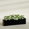 Miami Extra Large Narrow Rectangle Fiberglass Planter - 72 in x 12 in x 18 in - Gloss Black - Gloss Black,72 in x 12 in x 18 in