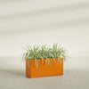 Hollywood Large Narrow Rectangle Fiberglass Planter - 36 in x 12 in x 24 in - Gloss Tangerine - Gloss Tangerine,36 in x 12 in x 24 in