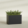 Brisbane Extra Large Long Rectangle Fiberglass Planter - 48 in x 24 in x 32 in - Matte Black - Matte Black,48 in x 24 in x 32 in