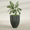 Alicante Medium Round Fiberglass Planter - 26 in x 26 in x 32 in - Matte Charcoal - Matte Charcoal,26 in x 26 in x 32 in