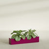 Salon Large Tall Rectangle Fiberglass Planter - 42 in x 8 in x 8 in - Gloss Eggplant - Gloss Eggplant,42 in x 8 in x 8 in