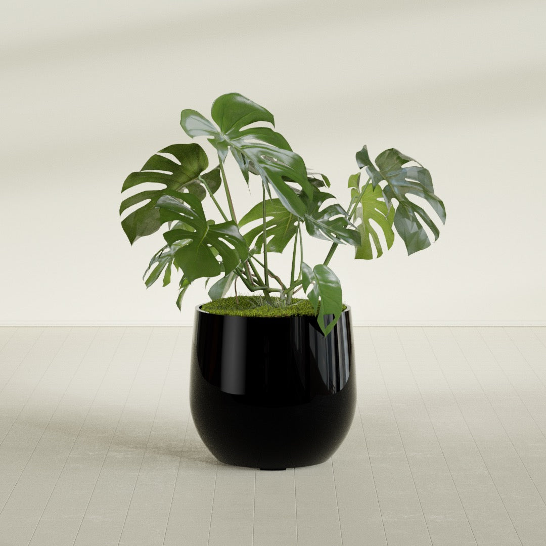 Westfield - 27in diam. x 25in - Gloss Black - Gloss Black,27 in diam. x 25 in H