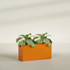 Miami Large Narrow Rectangle Fiberglass Planter - 36 in x 12 in x 18 in - Gloss Tangerine - Gloss Tangerine,36 in x 12 in x 18 in