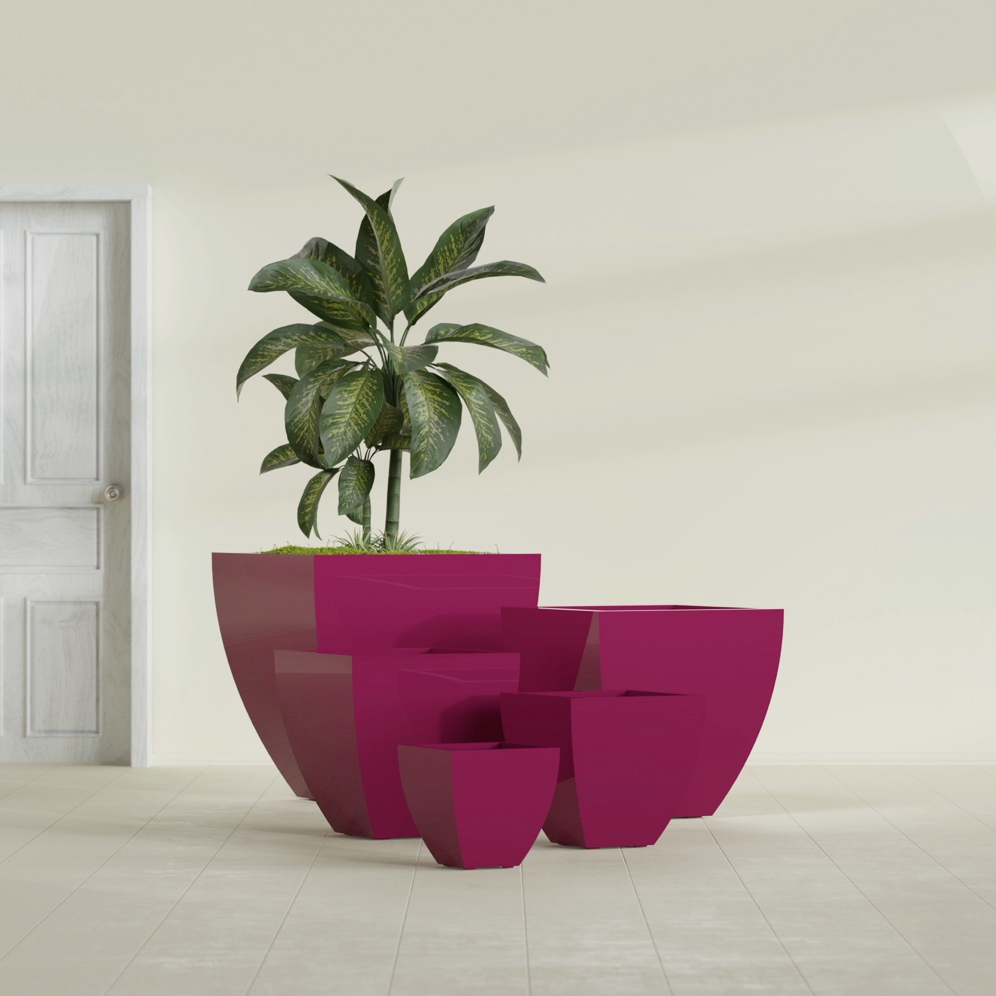 Lima Small Tapered Square Fiberglass Planter - 12 in x 12 in x 12 in - Gloss Eggplant - Gloss Eggplant,12 in x 12 in x 12 in