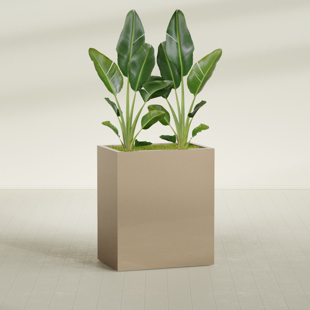 Darwin Large Rectangle Fiberglass Planter - 36 in x 24 in x 42 in - Metallic Gold - Metallic Gold,36 in x 24 in x 42 in