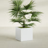 Montroy Medium Cube Square Fiberglass Planter - 28 in x 28 in x 28 in - Gloss White - Gloss White,28 in x 28 in x 28 in