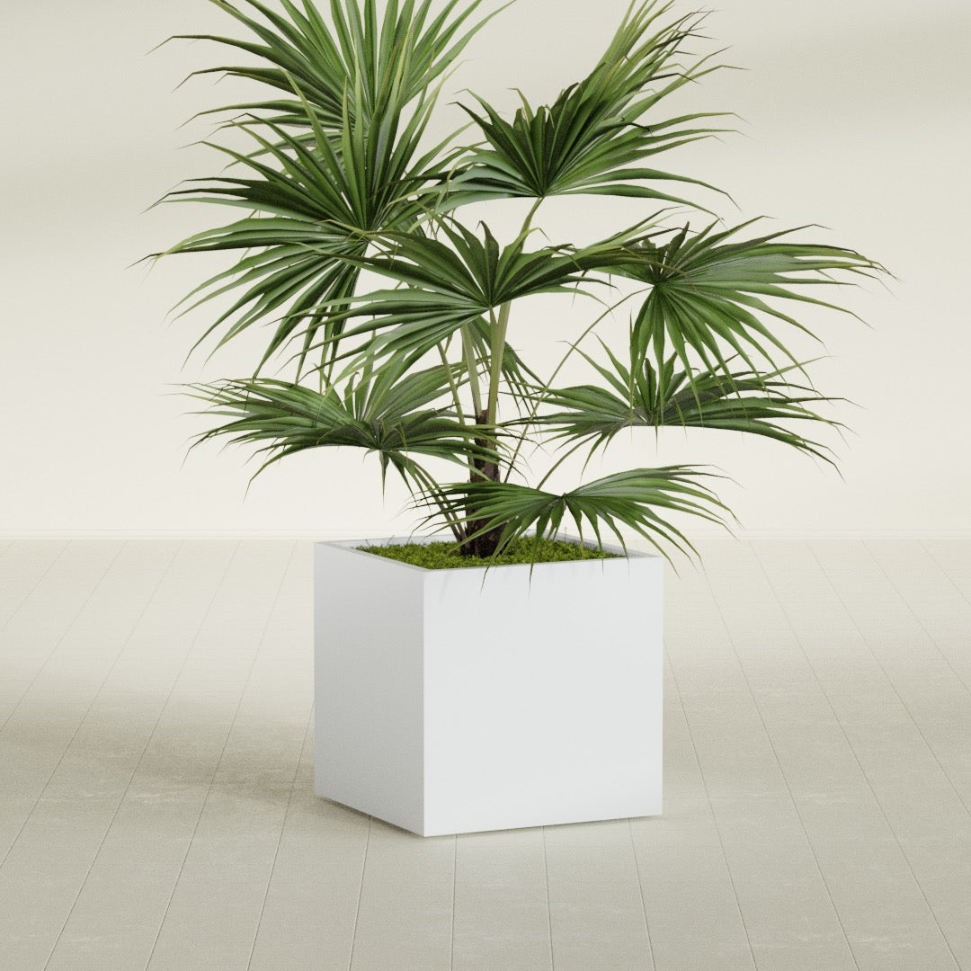 Montroy Medium Cube Square Fiberglass Planter - 28 in x 28 in x 28 in - Gloss White - Gloss White,28 in x 28 in x 28 in