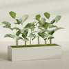 Torino Extra Large Wide Rectangle Fiberglass Planter - 72 in x 24 in x 18 in - Satin Beige - Satin Beige,72 in x 24 in x 18 in