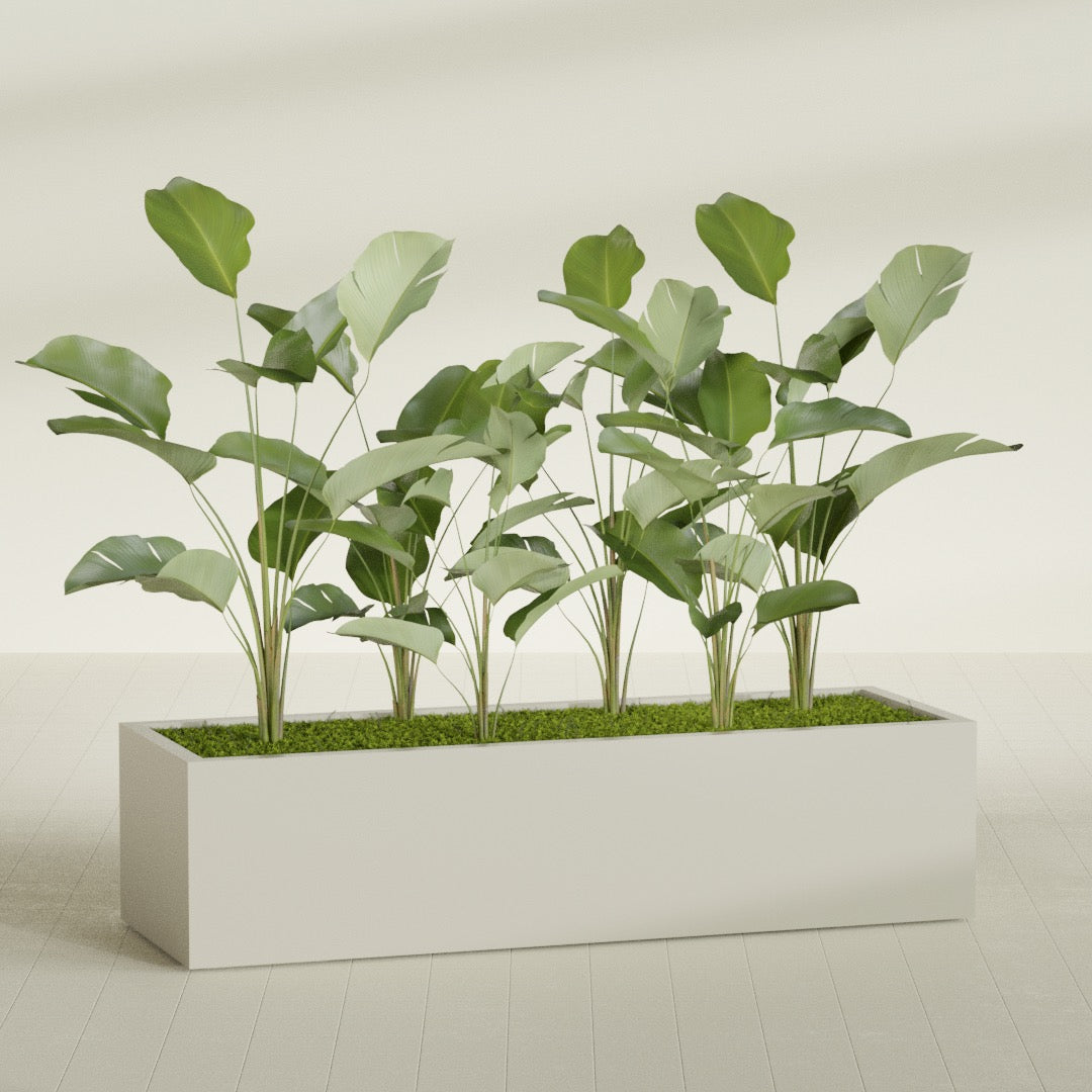 Torino Extra Large Wide Rectangle Fiberglass Planter - 72 in x 24 in x 18 in - Satin Beige - Satin Beige,72 in x 24 in x 18 in