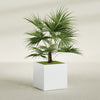 Montroy Large Cube Square Fiberglass Planter - 32 in x 32 in x 32 in - Matte White - Matte White,32 in x 32 in x 32 in